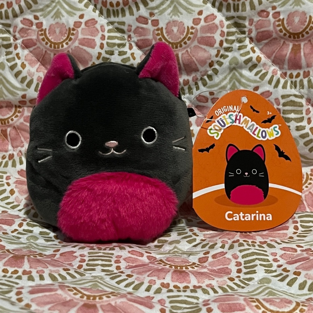 Catarina Squishmallow - 4” Cat with Pink Belly Squishmallow from Mystery Capsule